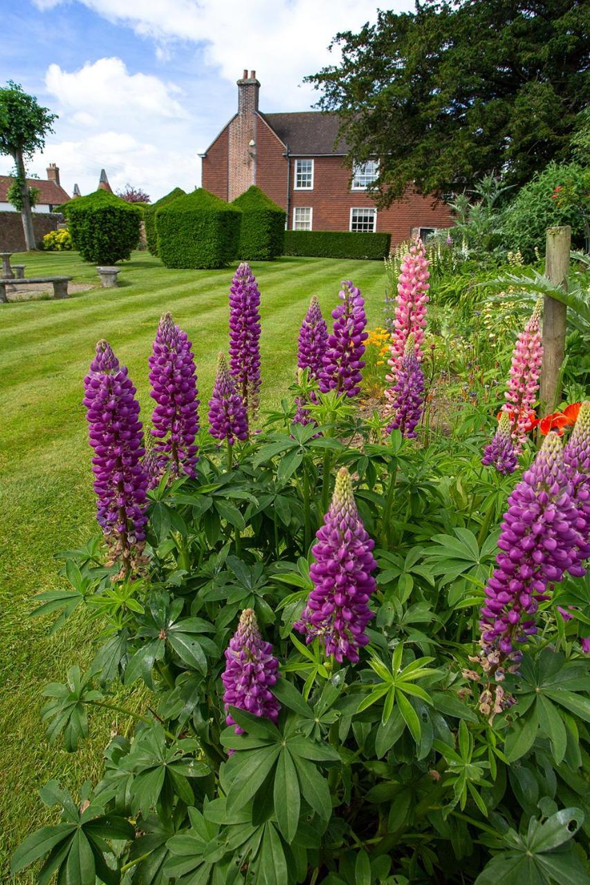 Boreham House Herstmonceux Eksteriør billede
